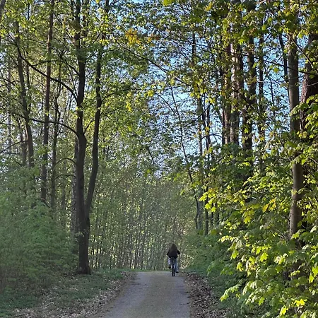 Nad Szelagiem * Stare Jabłonki