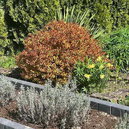 Сasa de vacaciones Nad Szelagiem *