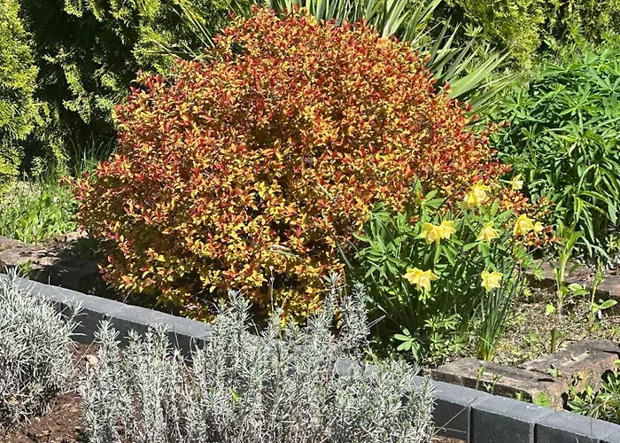 펜션 Nad Szelagiem *